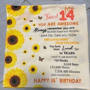 Happy 14th Birthday pillow cover